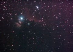 NGC 2024 The Flame and B66 The Horsehead Nebulae
